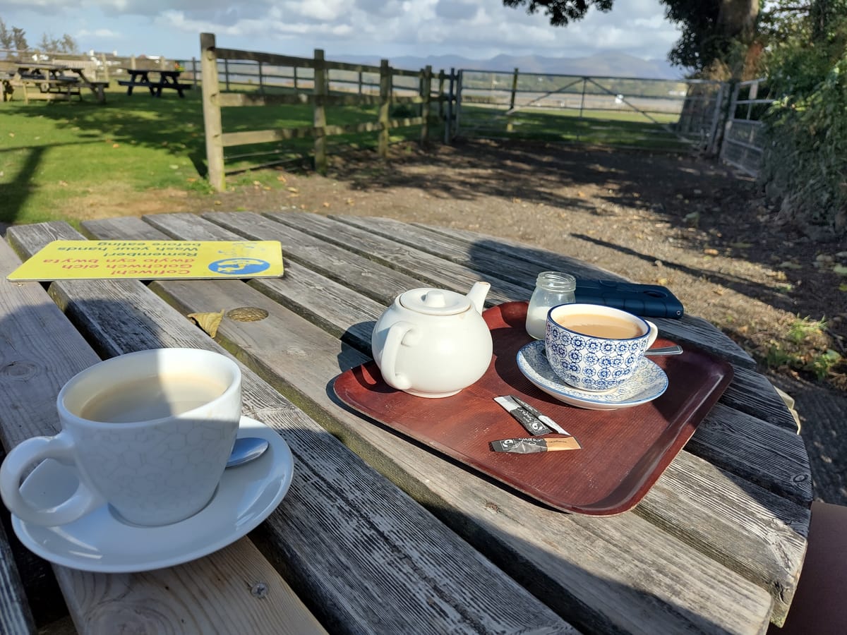 Weekly Newsletter, 31st August