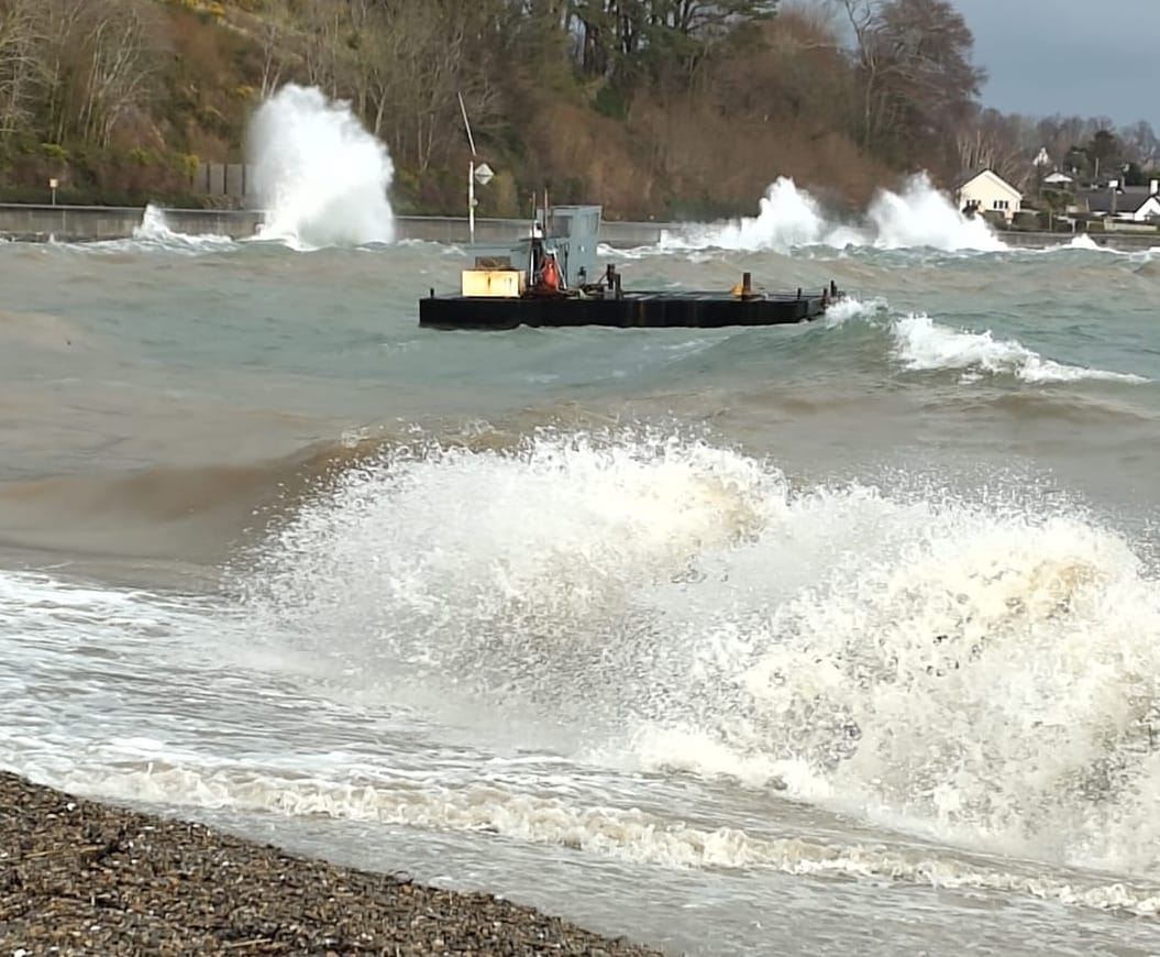 Weekly Newsletter 26th January