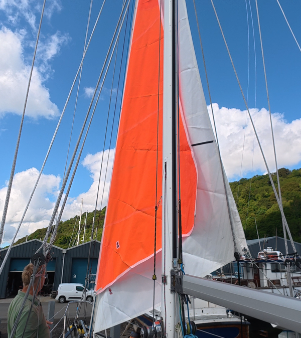 Newsletter exclusive sails update